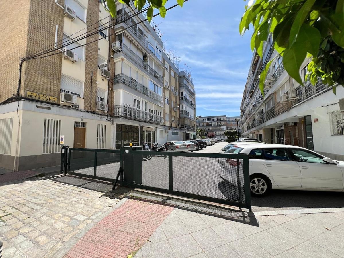Apartamento Triana Ole *